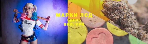 стафф Володарск