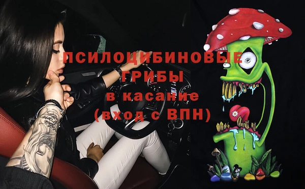стафф Володарск