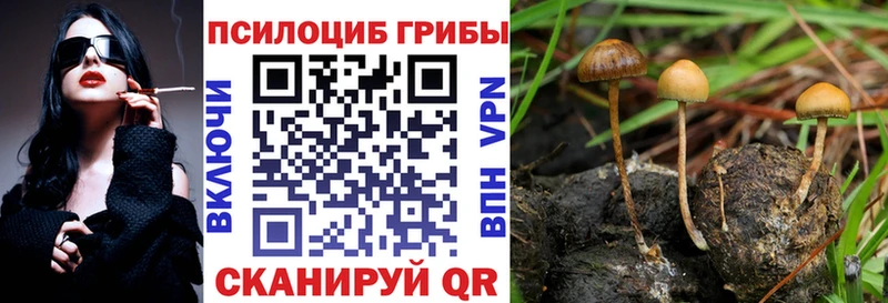 Галлюциногенные грибы GOLDEN TEACHER Новая Усмань
